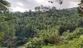 Tanah (Hidden gem) Cocok untuk Villa Atau Mini Glamping Lembang