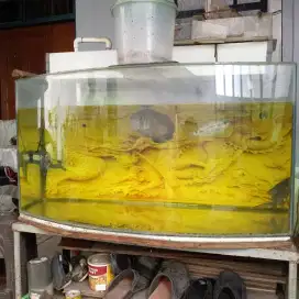 Jual Aquarium kaca
