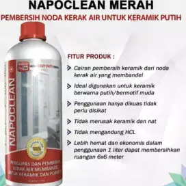 PEMBERSIH NAPOCLEAN 1L