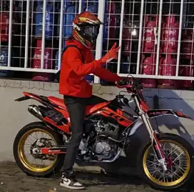 CRF 230 ( BASIC TIGER 2001 )