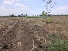 Tanah Kelurahan Baturono Kec Sukodadi Kab Lamongan