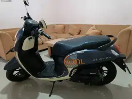 Scoopy N Malang panjen