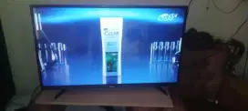 TV' LED panasonic 43 Inc analog
