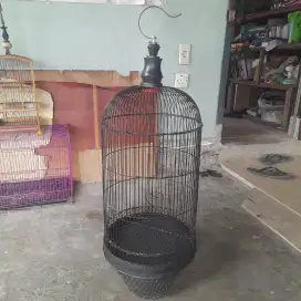 Kandang lovebird