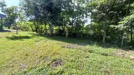 Dijual Tanah Jogja Murah Dekat Rs Muhammadiyah Gamping SHMP