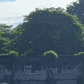 TANAH   DIJUAL DIBAWAH NJOP JAKARTA BARAT COCOK UNTUK BISNIS