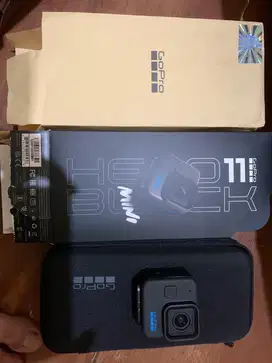 GoPro 11 Mini TAM