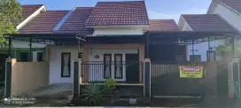 DISEWAKAN  RUMAH SANGAT ISTIMEWA