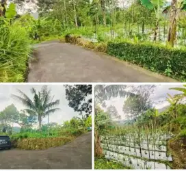 Tanah dekat waterfall