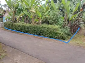 Dijual Tanah Pekarangan di Moyudan Godean Sleman