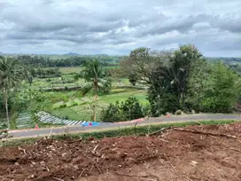 JUAL TANAH DI BANJARHARJO KALIBAWANG KULONPROGO VIEW SAWAH