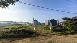 Kapling pakis asrikaton promo meriah 2 jutaan