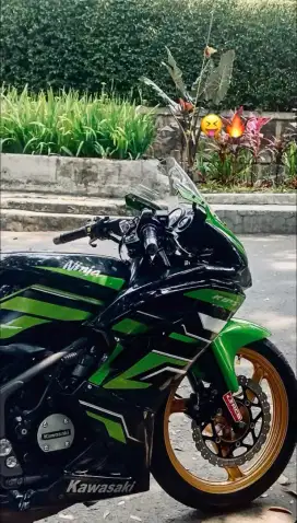 SATU TANGAN DARI BARU, ORSINILAN