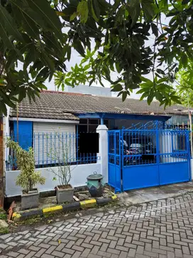 BUTUH CEPAT LAKU Rumah Asri dan Terawat Darmo Indah Sari