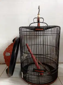 Kandang muray no 3 minus d tebok bolong dikit
