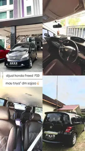 honda freed th 2010 PSD