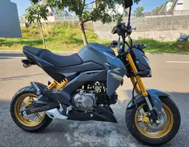 Kawasaki Z125 thn 2024