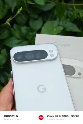 Google Pixel 9 Pro XL 16/256GB