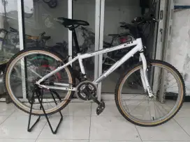 Sepeda gunung MTB polygon Monarch 24