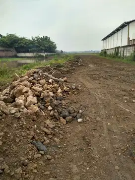 Tanah Luas Lokasi Strategis di Jl. Pemancar Kuripan Demak
