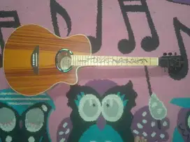 Gitar Akustik (bisa listrik) Custom Merk Ecoustik Model MR7 EQ