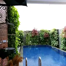 Ahli Kolam Renang Termurah