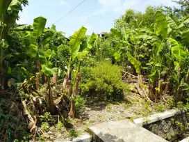 Dijual Tanah Strategis Belakang UNS