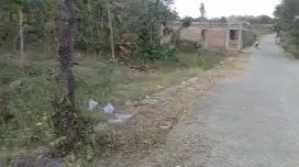 Dijaul Tanah Pekarangan