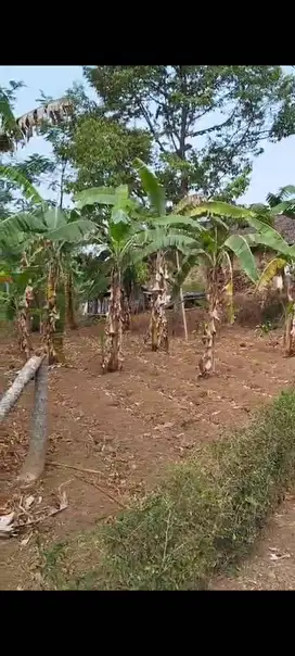 Dijual Tanah di daerah Trawas, Selotapak