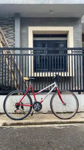 Commuter Bike Federal Stray Cat SS Lady