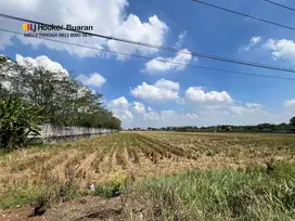 Tanah Luas Dan Lokasi Strategis di Karawang Barat