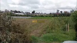 Dijual Tanah Daerah Karo Jalan Kebun Bunga - Dolat Rayat