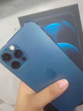 ip 12 pro 256gb XL only