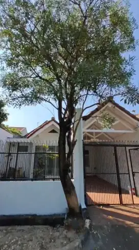 Dijual Rumah Cluster Cemara Banjar Wijaya