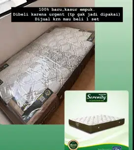 NEW Elite Serenity SuperStar Hanya Kasur