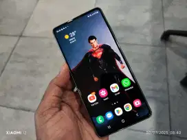 Samsung Galaxy S20 FE Snapdragon