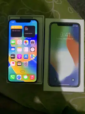 iPhone X 256Gb Allop
