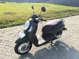Honda Scoopy Prestige 2024