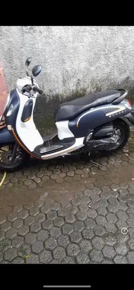 honda schoopy 2023