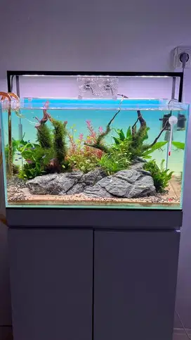 Aquascape Premium 60cm