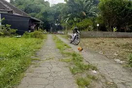 Tanah 168m mlati sleman