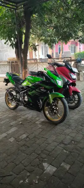 Kawasaki ninja rr new tahun 2014