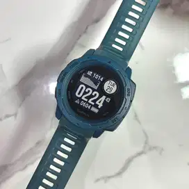 Garmin Instinct Lakeside