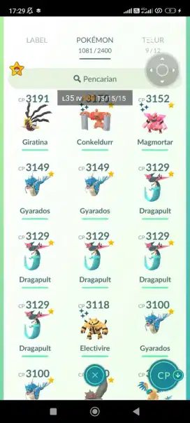 Akun pogo level 43 perfect iv 100