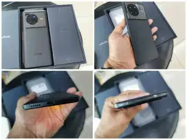 Vivo X80 12/256