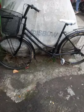 Sepeda keranjang