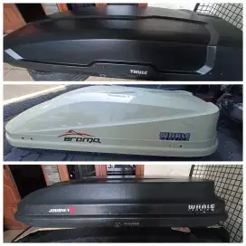Roofbox// thule // whale