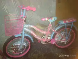 SEPEDA ANAK CEWE CUUANTIKKK KESAYANGAN AYAH