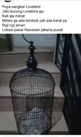 Sangkar burung Lovebird