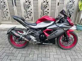 Kawasaki ninja mono 2018